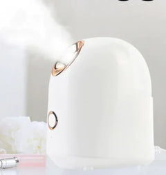 Beauty Face Steamer
